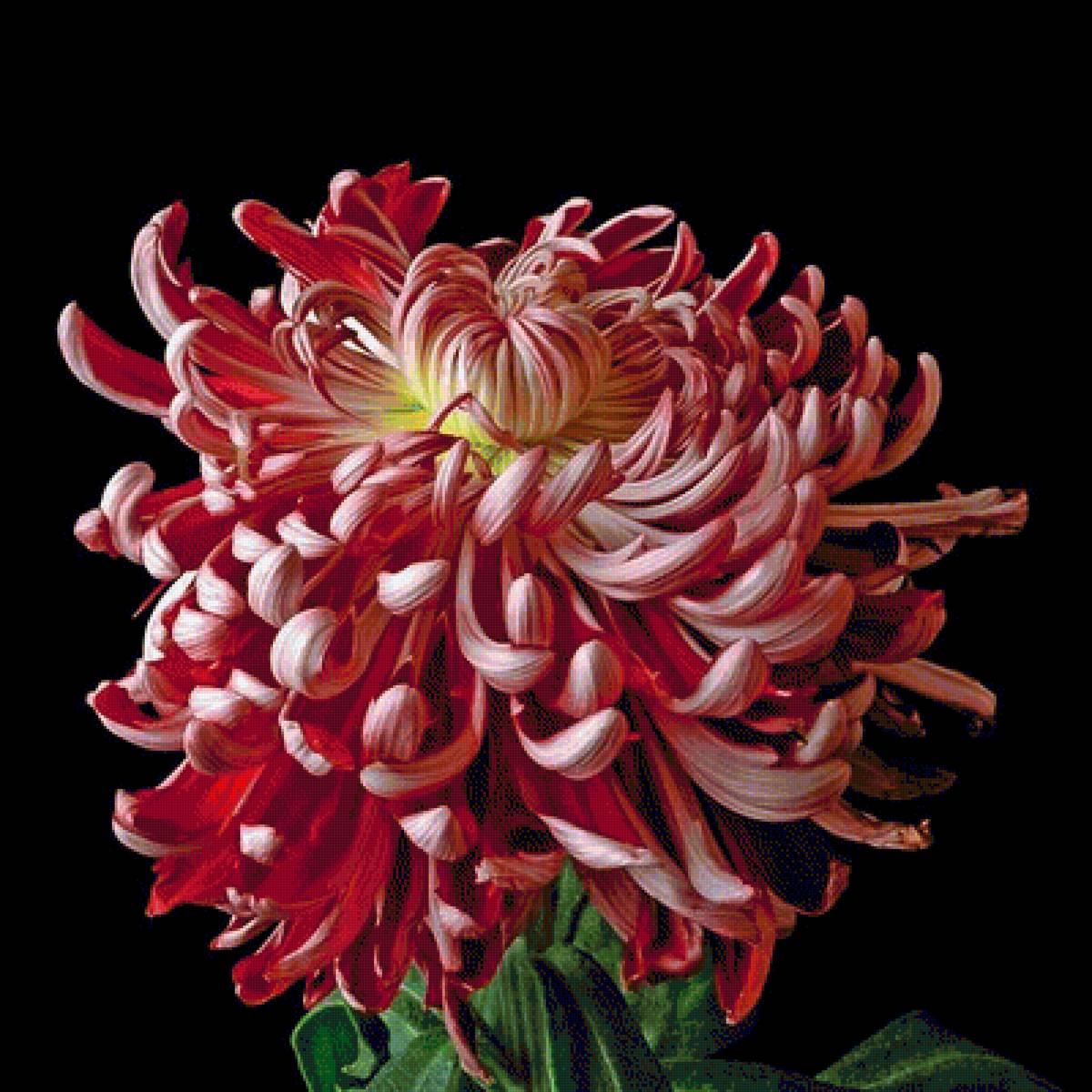 №1328001 - предпросмотр