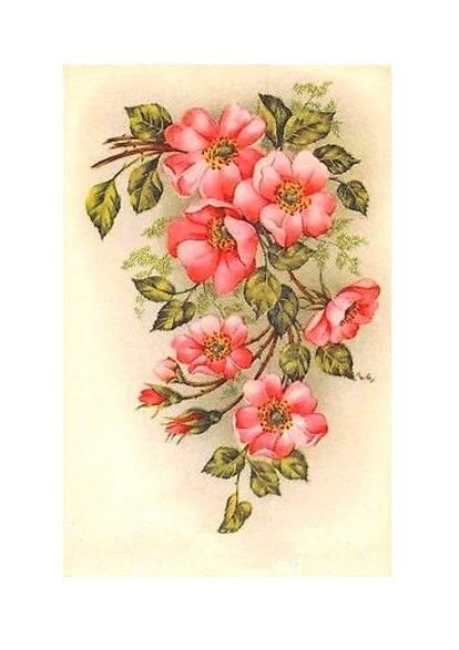 pekné ružičky - оригинал