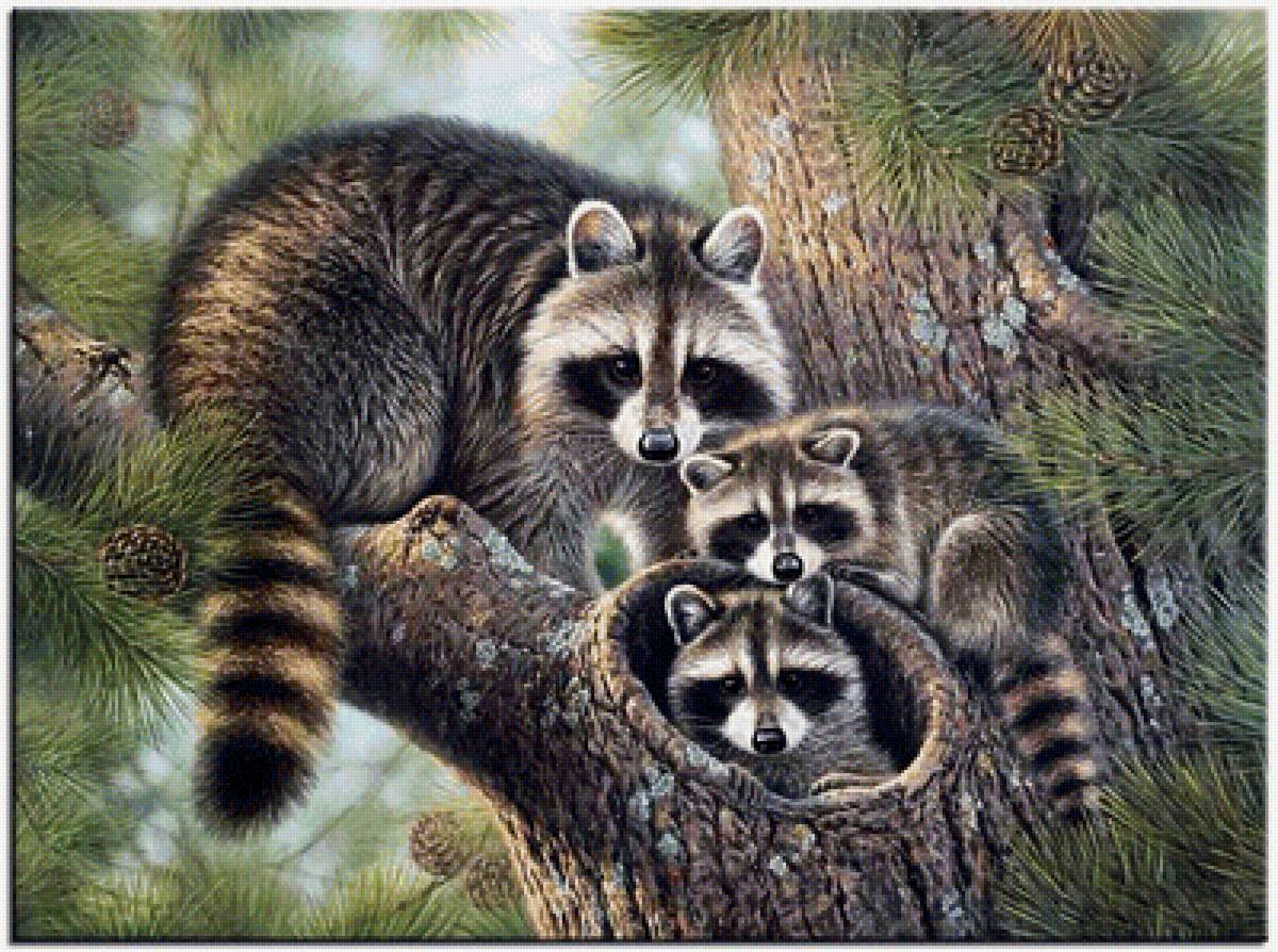 №1328497 - животные - предпросмотр