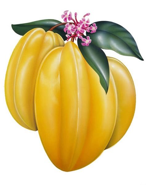 №1328845 - кухня.фрукты. - оригинал