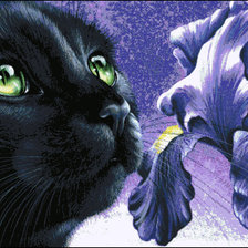 Схема вышивки «сапеарос»