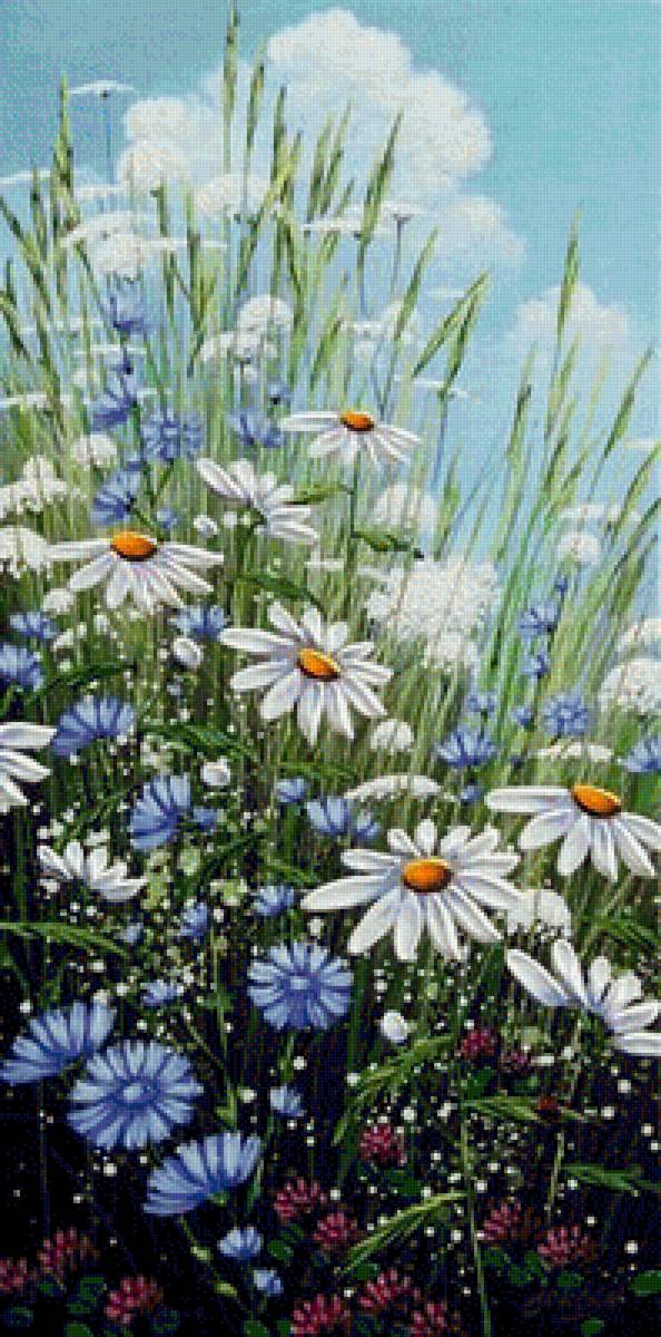 poľné kvety - предпросмотр