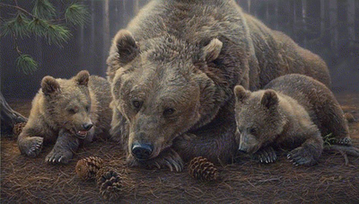 медведица с медвежатами - дикие животные - предпросмотр