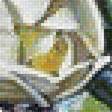 Предпросмотр схемы вышивки «biele kvety,mačka,okno» (№1331402)