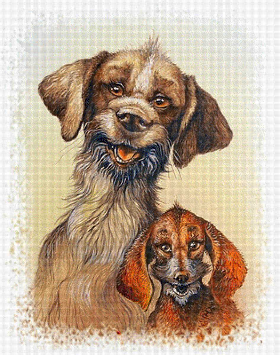 608 - предпросмотр