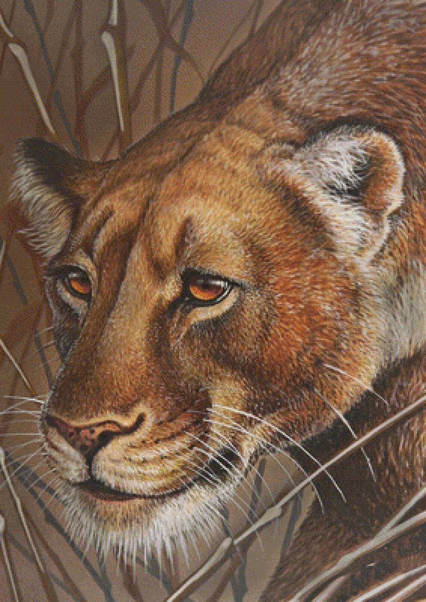 609 - предпросмотр