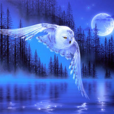 Схема вышивки «полнолуние»