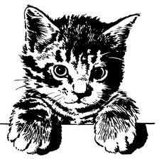 Схема вышивки «котик»