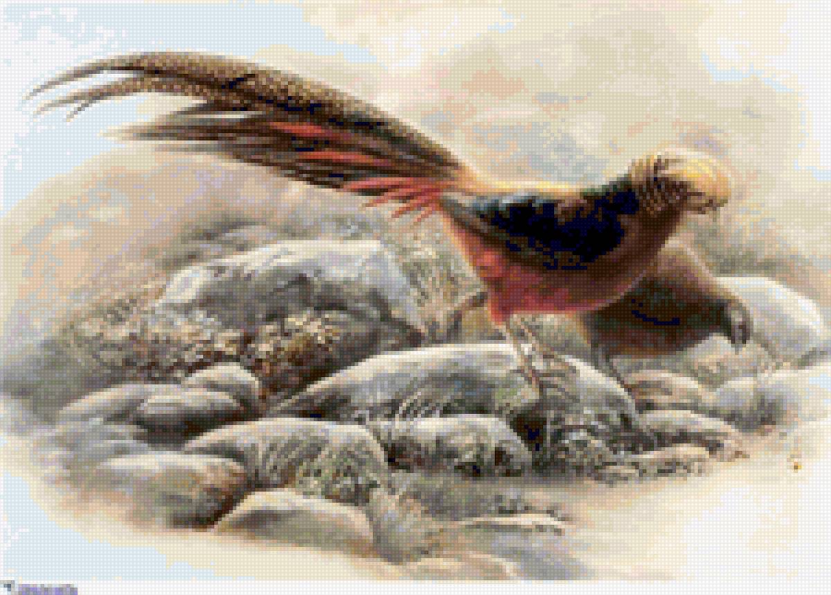 птицы - птицы - предпросмотр