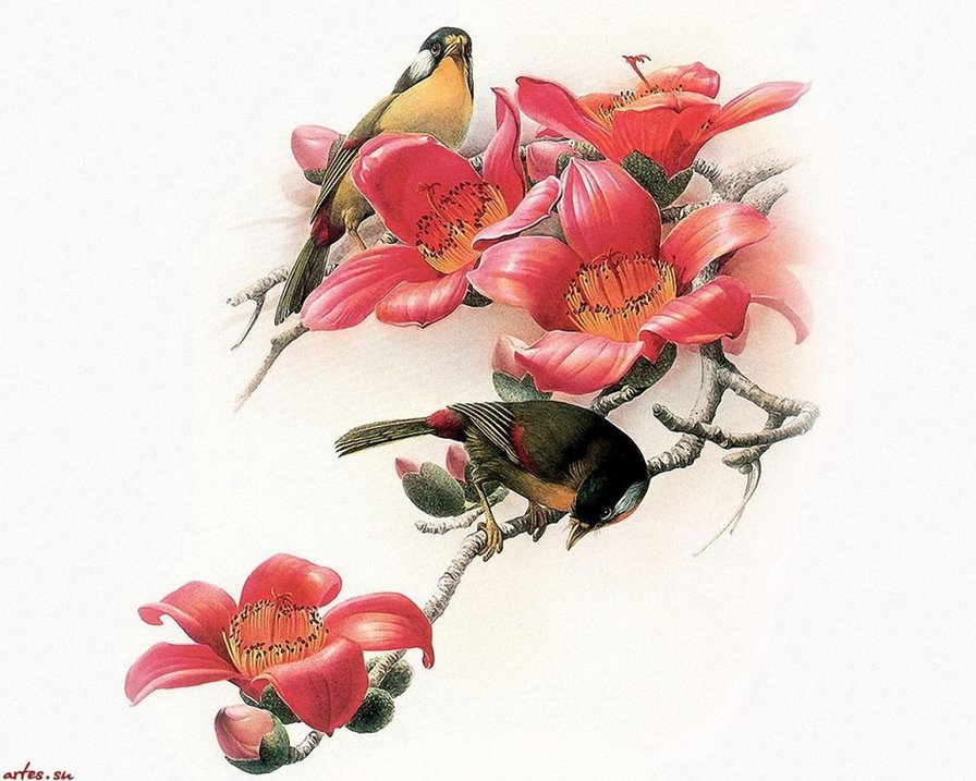 птицы - птицы - оригинал