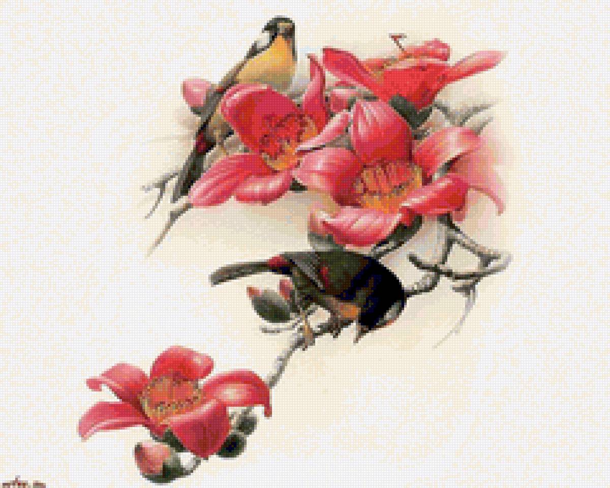 птицы - птицы - предпросмотр