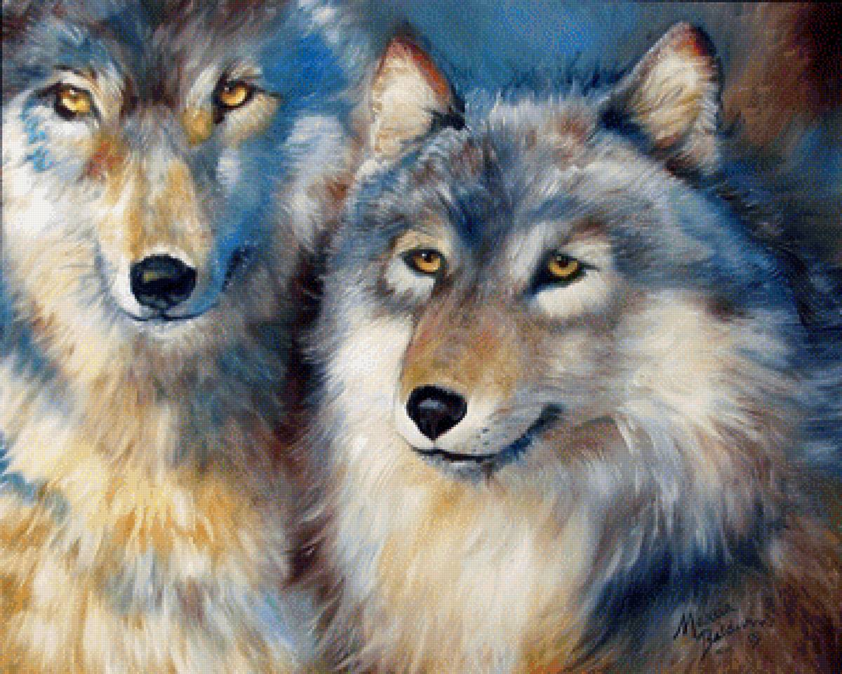 пара волков - волки, дикие животные, пара - предпросмотр