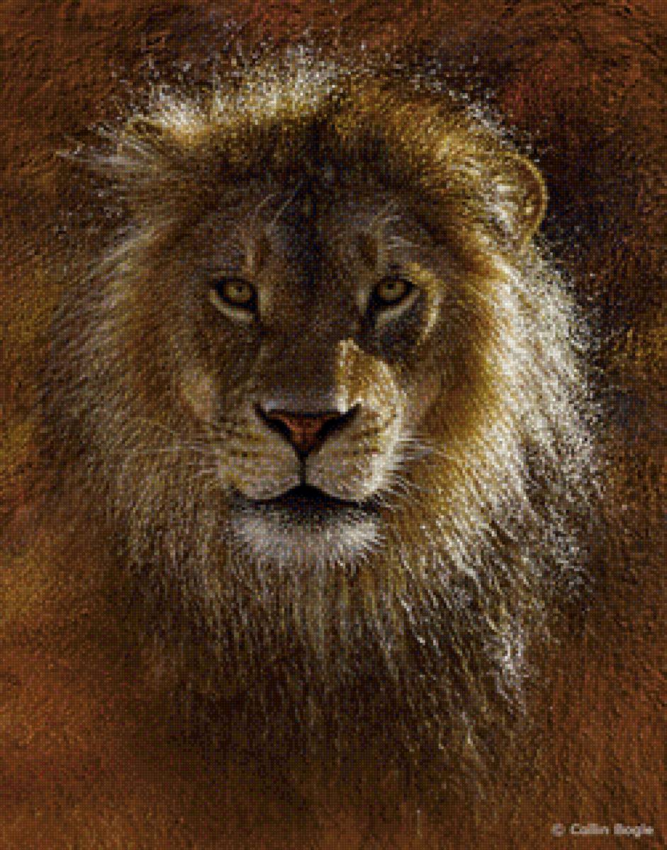 царь,просто царь - лев, дикие животные - предпросмотр