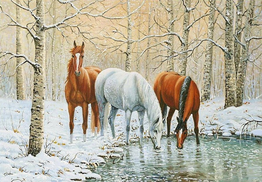 на водопое - лошади, зима, белый конь, кони, лес, домашние животные - оригинал