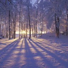 Схема вышивки «№1332765»