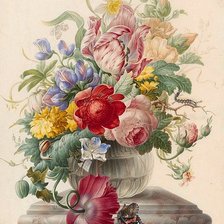 Схема вышивки «pekné zátišie,váza,kvety»