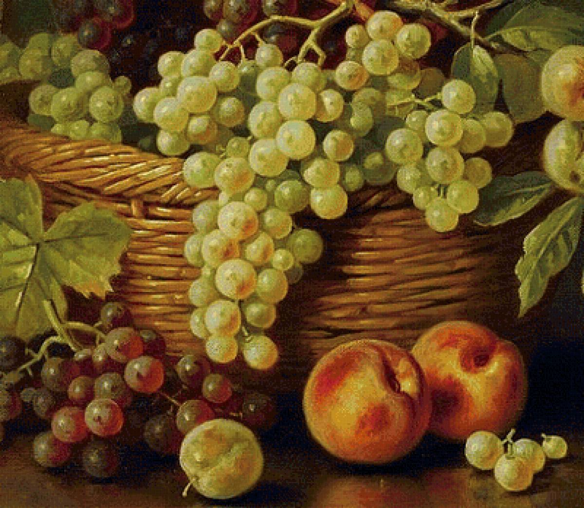 Фрукты - фрукты, натюрморт, виноград - предпросмотр