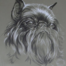 Схема вышивки «Собака породы гриффон»