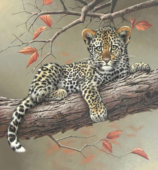 1115 - оригинал