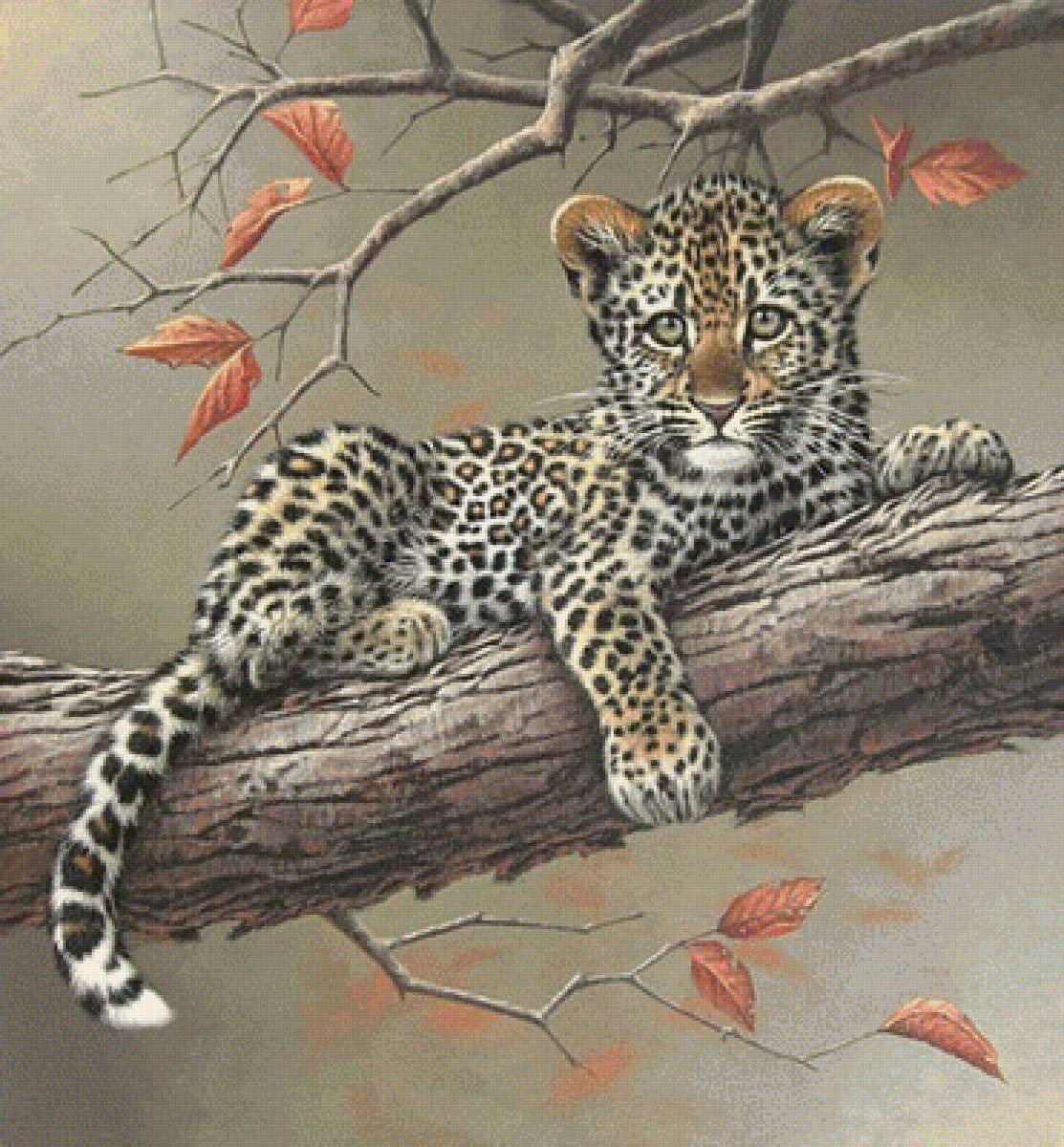 1115 - предпросмотр