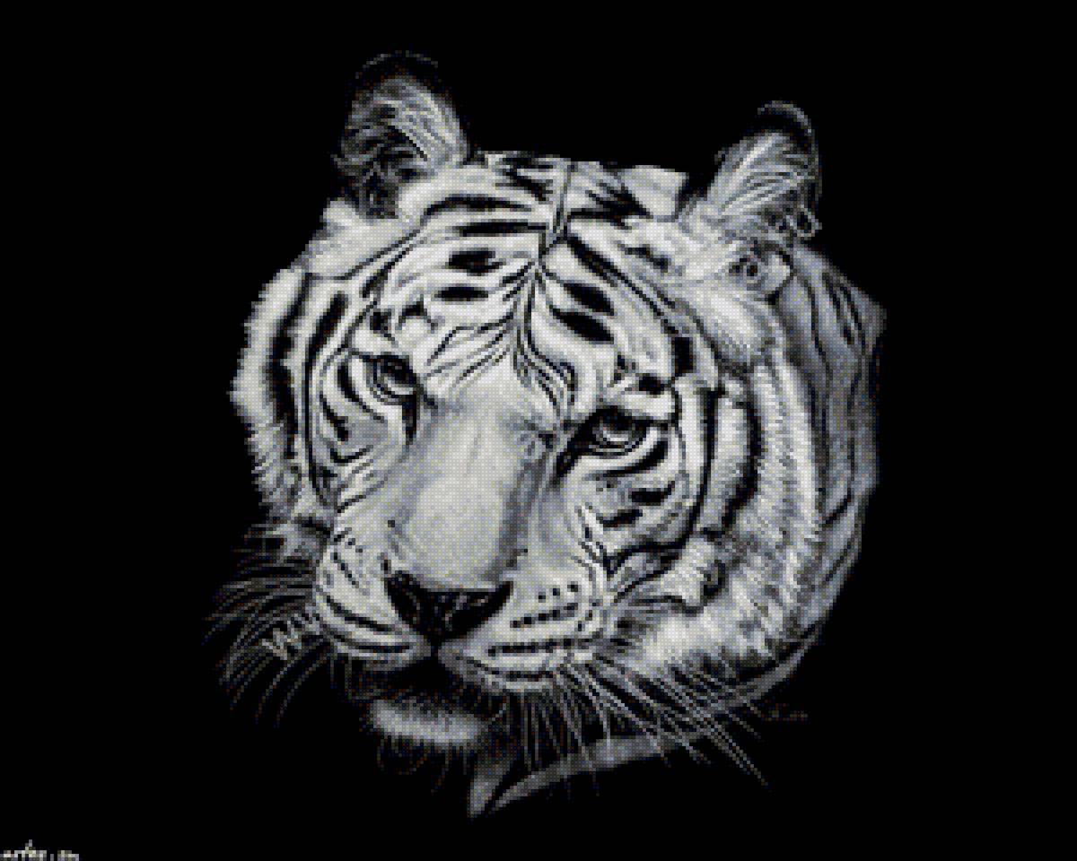 тигр - дикие животные - предпросмотр