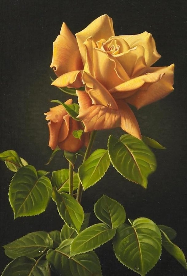 роза - оригинал