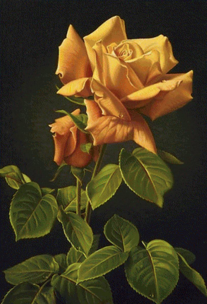 роза - предпросмотр