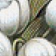 Предпросмотр схемы вышивки «белые цветы» (№1334705)