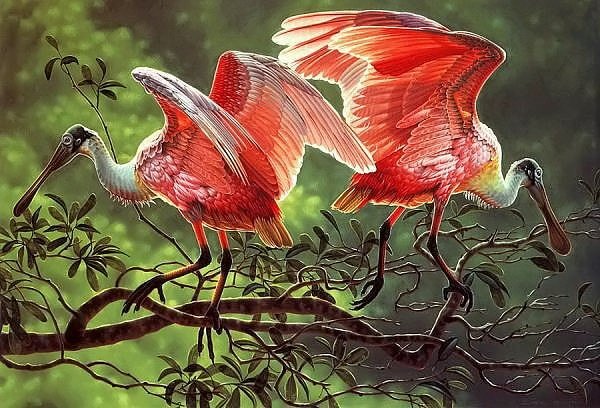 plameniaci - оригинал