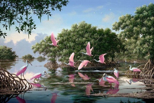 ružový vtáci na vode - оригинал