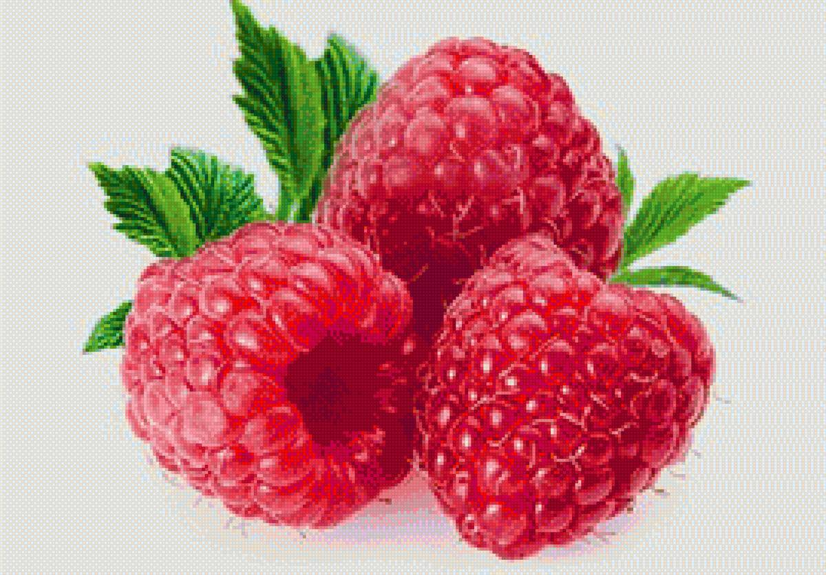малинка - ягоды - предпросмотр