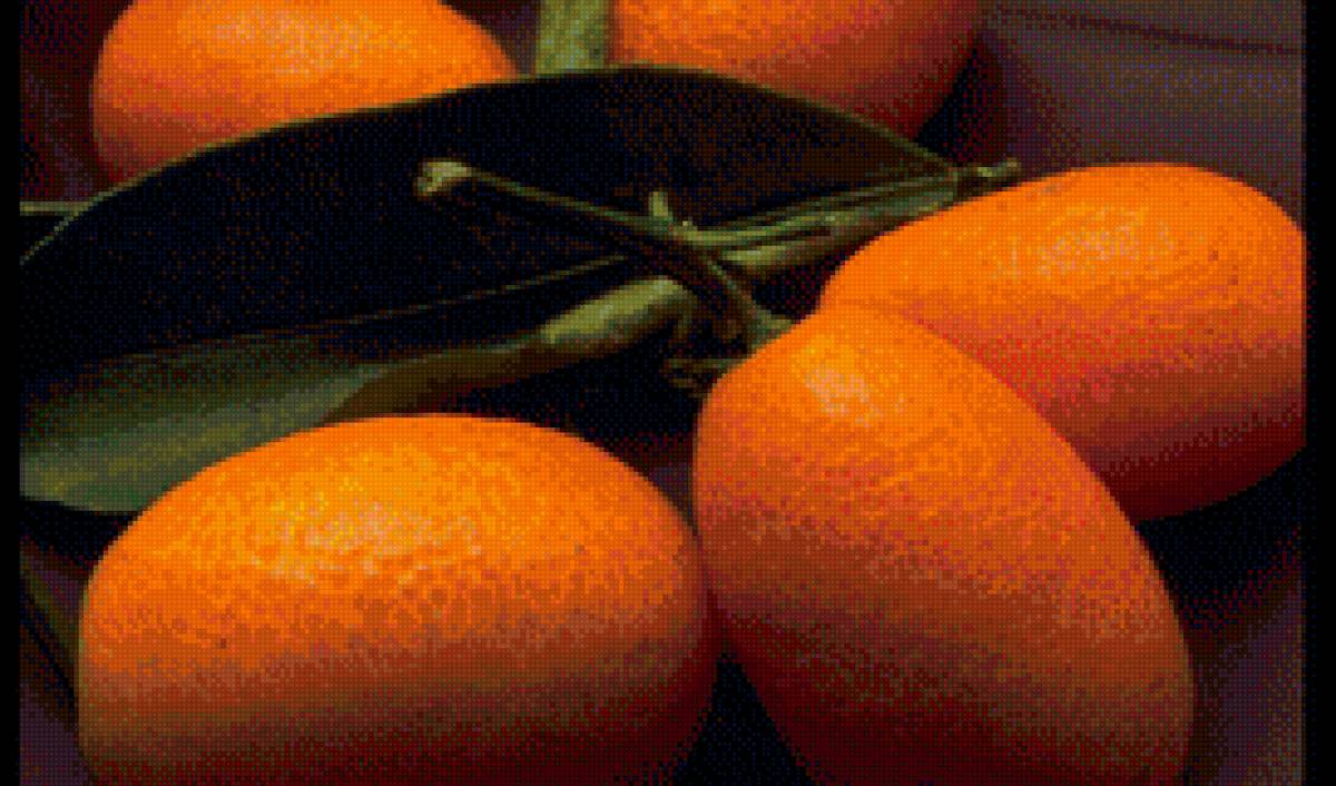 кумкват - цитрусовые - предпросмотр