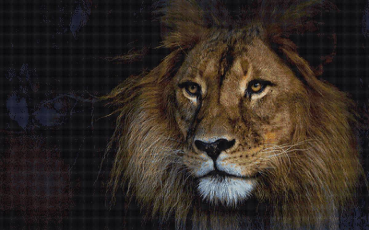 Лев - животные - предпросмотр