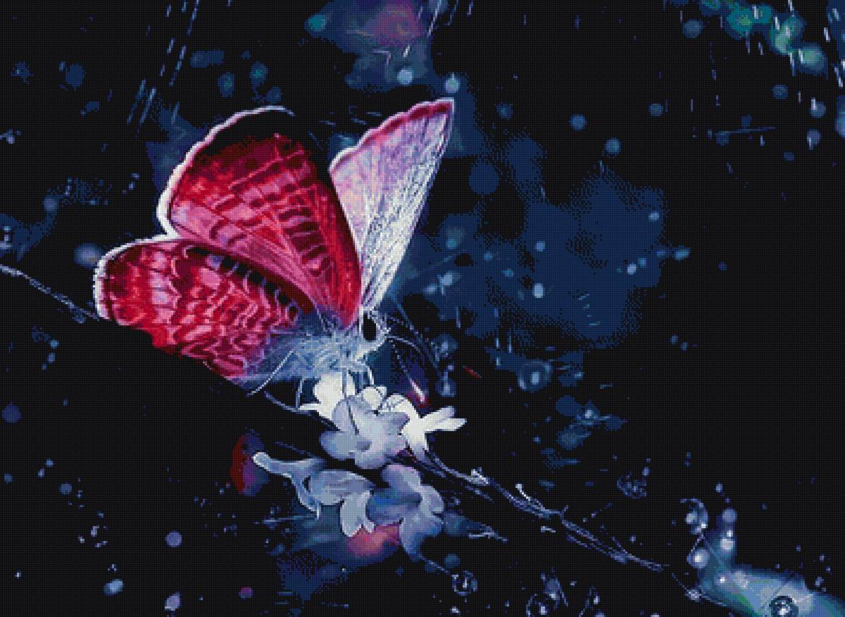 Бабочка - природа - предпросмотр