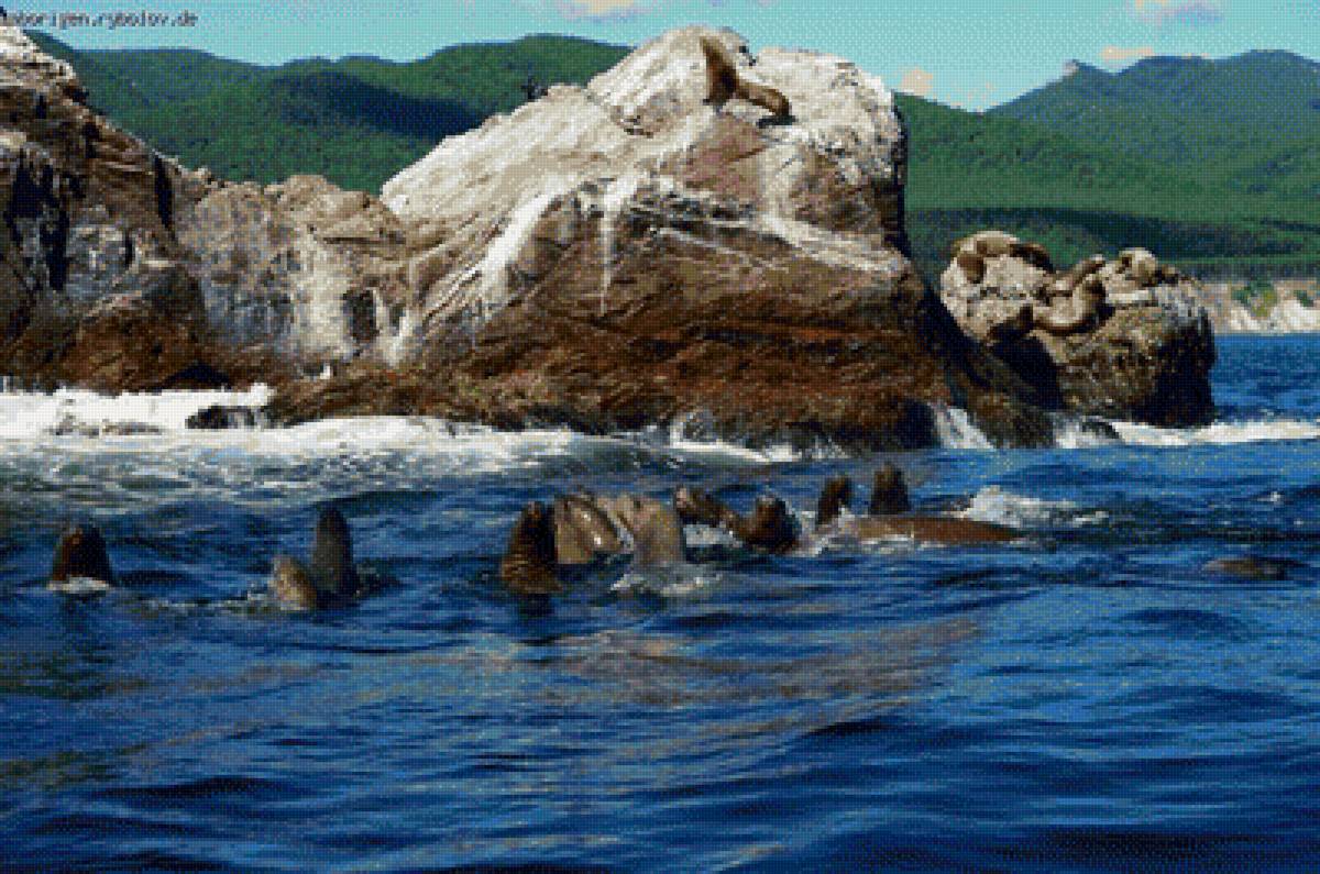 Сахалин - предпросмотр