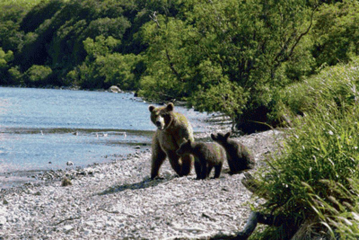 Сахалин - предпросмотр