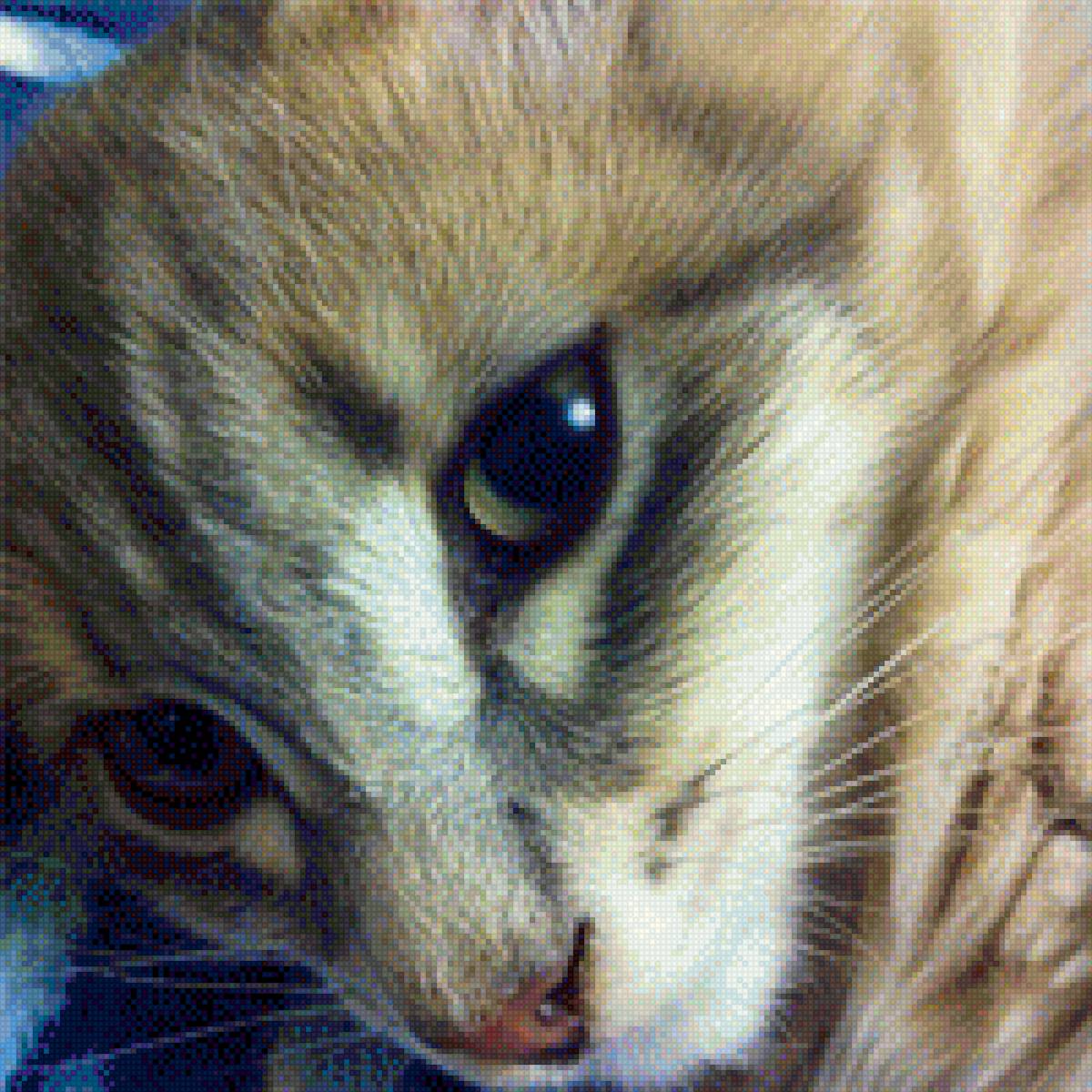 Кот - кот, домашние5 питомцы - предпросмотр