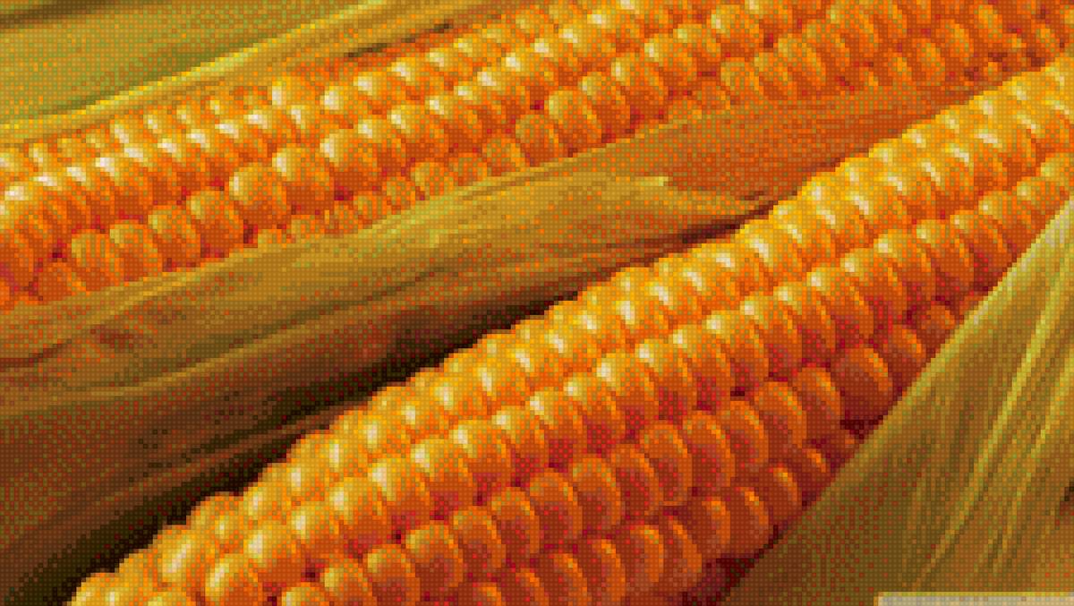 кукурузка - кукуруза, кухонная, еда, для кухни - предпросмотр