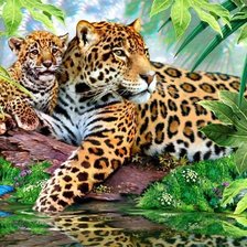 Схема вышивки «№1335920»