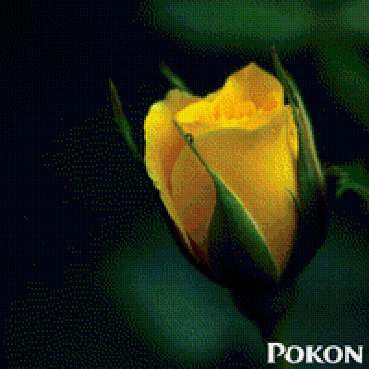 Роза - роза, цветы, цветок - предпросмотр