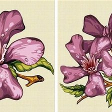 Схема вышивки «диптих "цветы"»