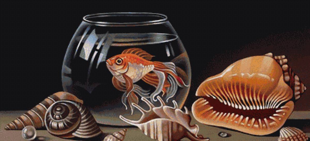 Ракушки и рыбка - море, ракушки, аквариум, рыбы - предпросмотр