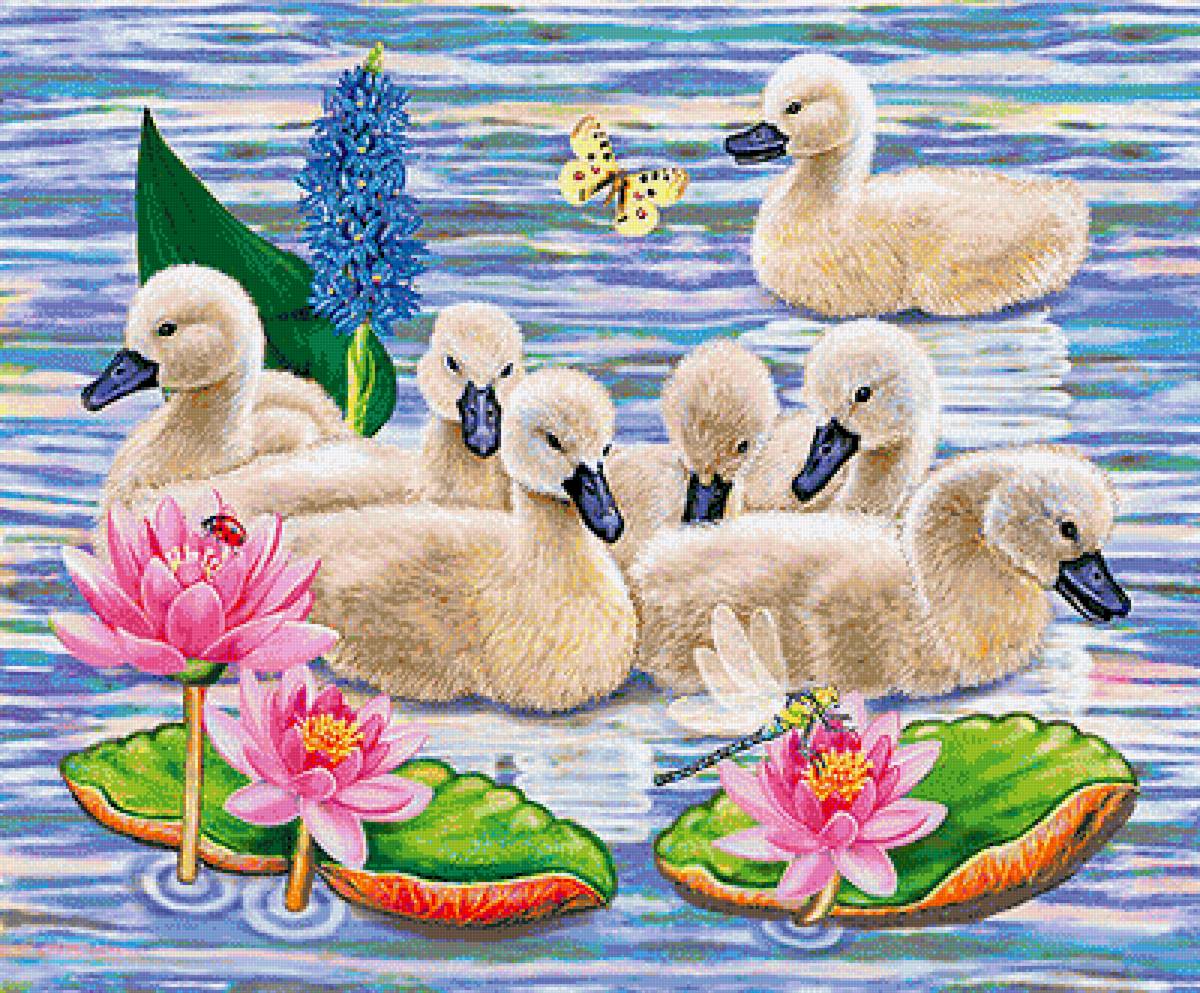 малыши - предпросмотр