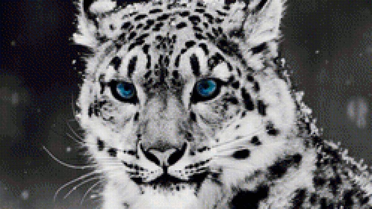 Белоснежный красавец - зима, белый, хищник, леопард - предпросмотр