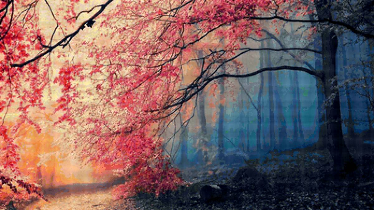 Осень - дерево, красиво, осень - предпросмотр