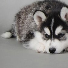 Схема вышивки «1»