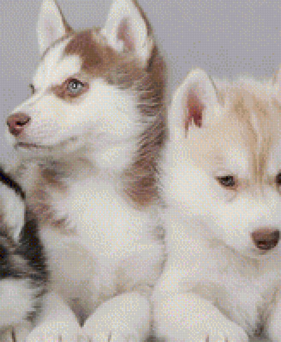 2 - предпросмотр