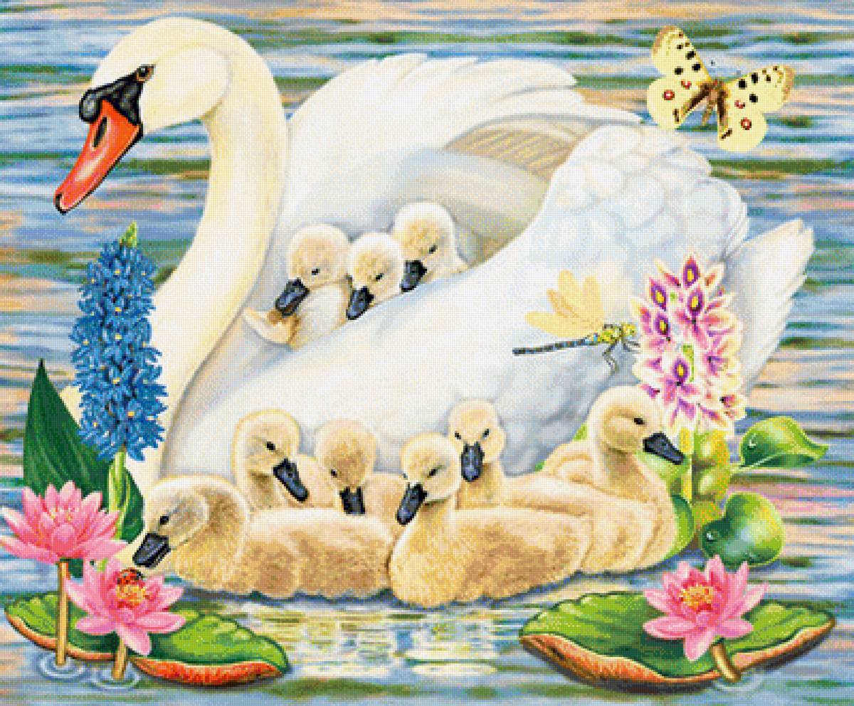 Иллюстрации с изображением лебедей