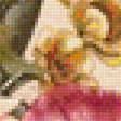 Предпросмотр схемы вышивки «pekné kvety» (№1337962)