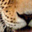 Предпросмотр схемы вышивки «Леопард.» (№1338397)
